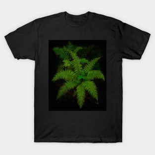 DRAMA GREEN T-Shirt